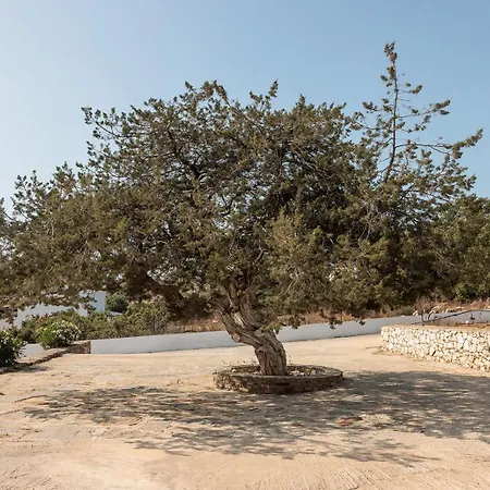 Aurea Blu 08, Enjoy, Relax, Dream *