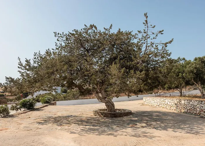 Aurea Blu 08, Enjoy, Relax, Dream *